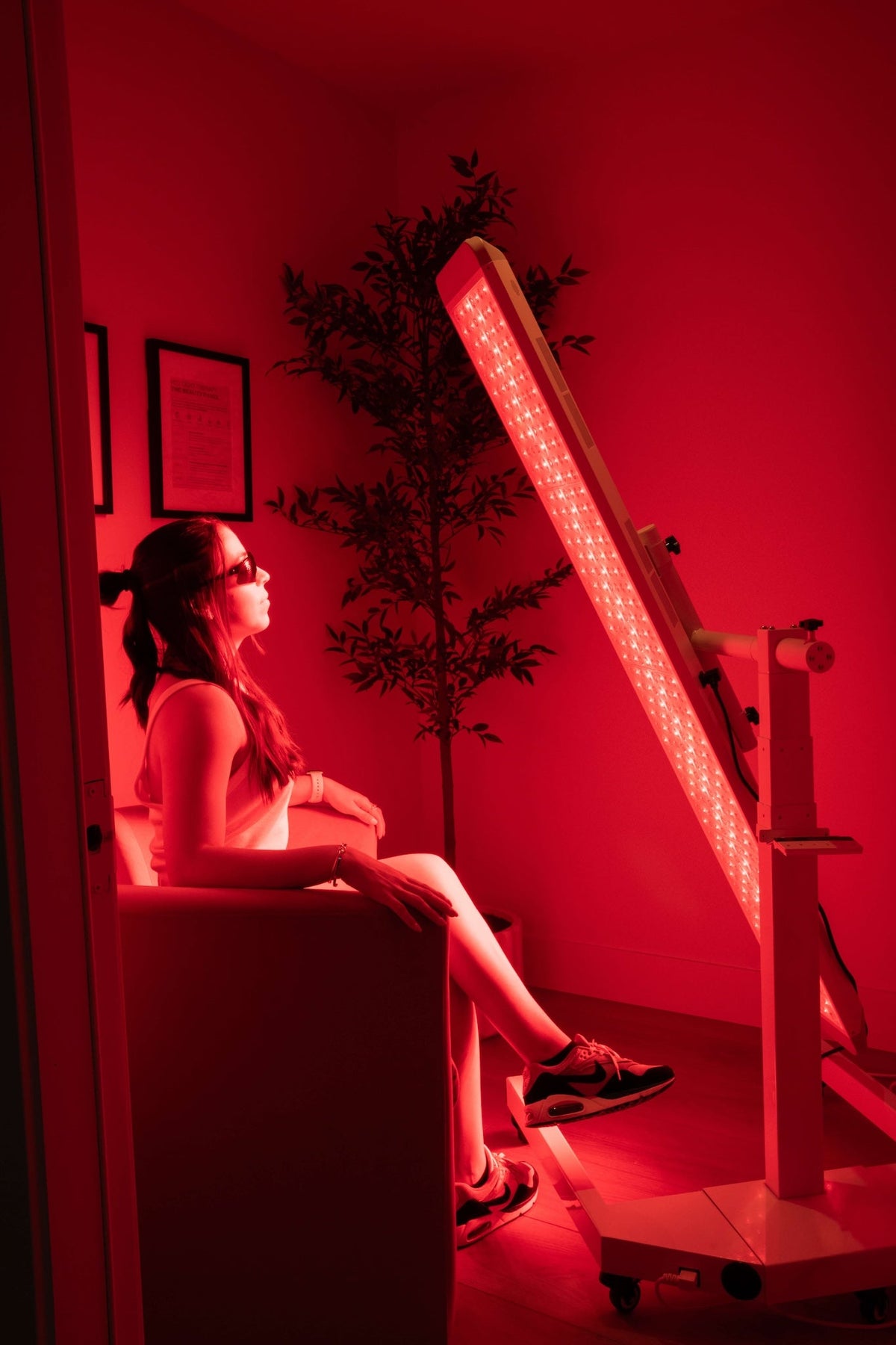Renew Red Light - The Panorama Panel