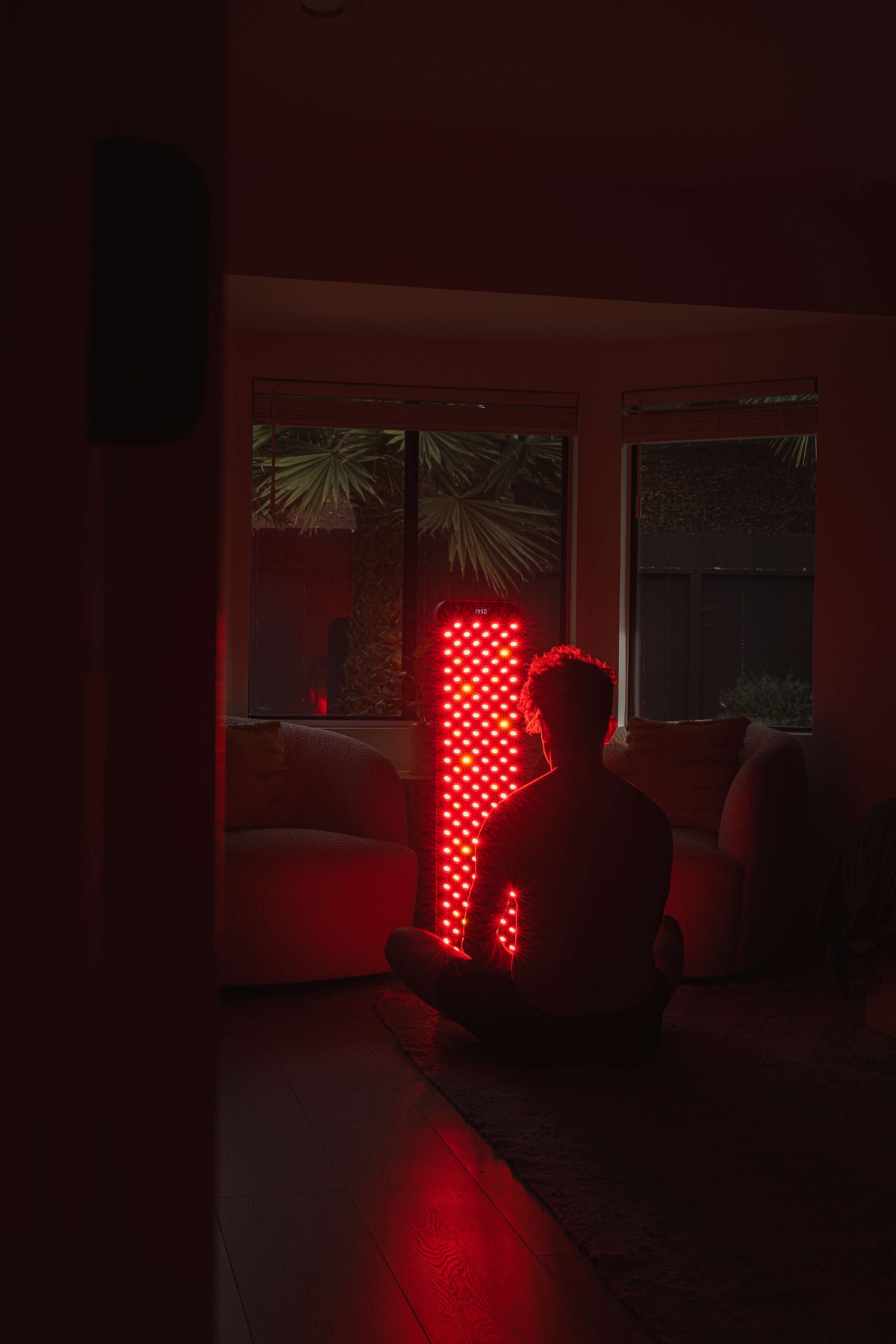 Renew Red Light - The Large Panel